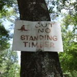 CutNoStandingTimber